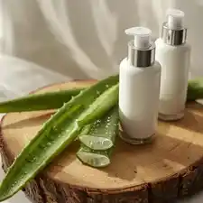L’Aloe Vera quand une simple plante du jardin devient un secret anti-âge puissant